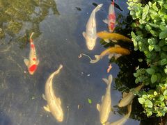 -聚福宝合苑食府(南头镇店)