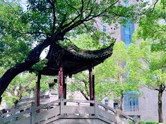 -龙潭水乡