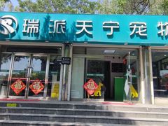 -瑞派天宁宠物医院·猫科·异宠中心