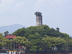 -江心屿景区
