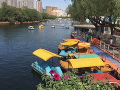 iphone_upload_pic-沈阳南湖公园