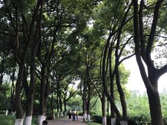 -圩墩遗址公园