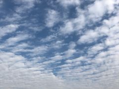 -恋山坝上草原
