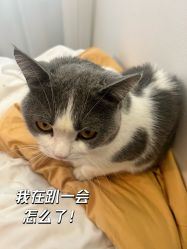 -ChuLian初莲日式美甲美睫