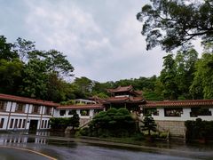 -深圳仙湖植物园