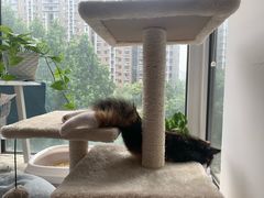 -平行世界·猫咖(首经贸店)