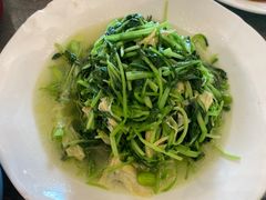 豆腐皮鸡毛菜-冶春茶社(官园桥店)