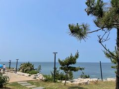 -养马岛旅游度假区