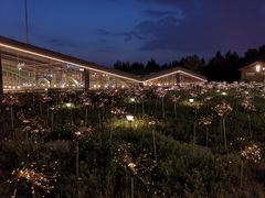 -莫子山公园