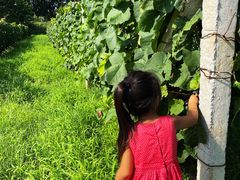 -安德鲁户外烧烤帐篷营地(马泉营店)