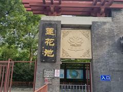 -莲花池公园