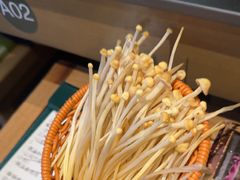 -季季山·云南野生菌火锅(上海首店)