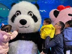 -成都浩海立方海洋公园