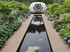 -深圳仙湖植物园