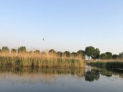 -白洋淀锅里口灶台鱼