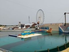 -秦皇岛乐岛海洋王国