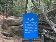 -月亮湾公园