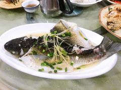-区海鸡场饭店(石壁店)
