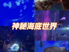 -沈阳海洋探索中心