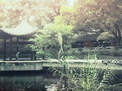 -九龙公园