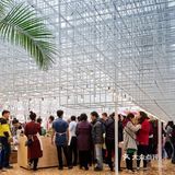 河内街头的市场 