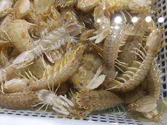 -顺鑫石门市场