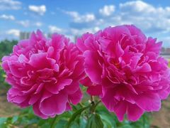 -长春世界雕塑园冰雪艺术天地