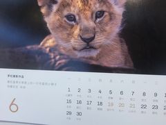 -好利来(奥林匹克购物广场店)