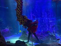 -沈阳海洋探索中心