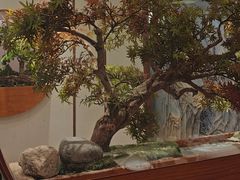 -真定郝家排骨(正定县总店)