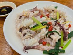 鲜鱿鱼-潮粥馆(长江花园店)