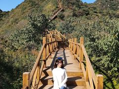 -大岭沟猕猴桃谷风景区