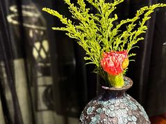 -映水芙蓉(上海万象城店)