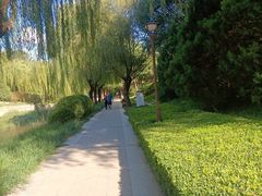 -元大都城垣遗址公园