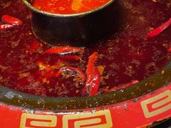 -蜀辣居鲜货老火锅(双流万达店)