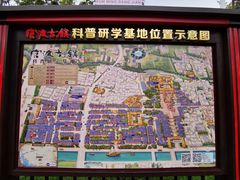 -眼镜粑粑