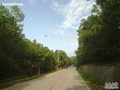 -西涌国际滨海旅游区