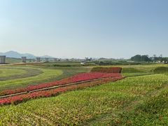 -光明小镇欢乐田园