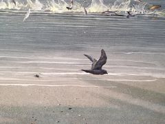 -上海油画雕塑院