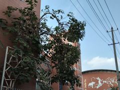 -无锡市南长街小学