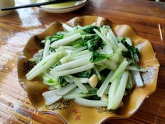 小白菜-老根农家饭店