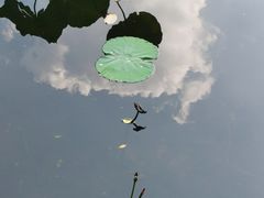 -粤剧艺术博物馆