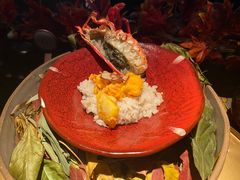 龙虾黑松露炖咖喱饭-地球美食剧场