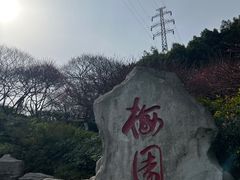 -重庆彩云湖湿地公园