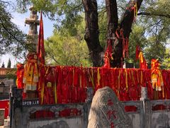 -大槐树寻根祭祖园