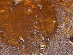 -蝎王府羊蝎子(北大地店)