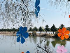 -农垦当壁镇兴凯湖旅游度假区