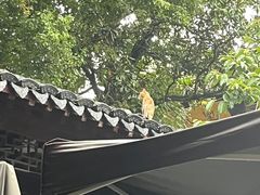 -兴福老面馆(寺路街店)