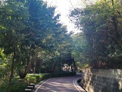 -攀枝花公园
