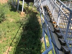 -大青山野生动物园